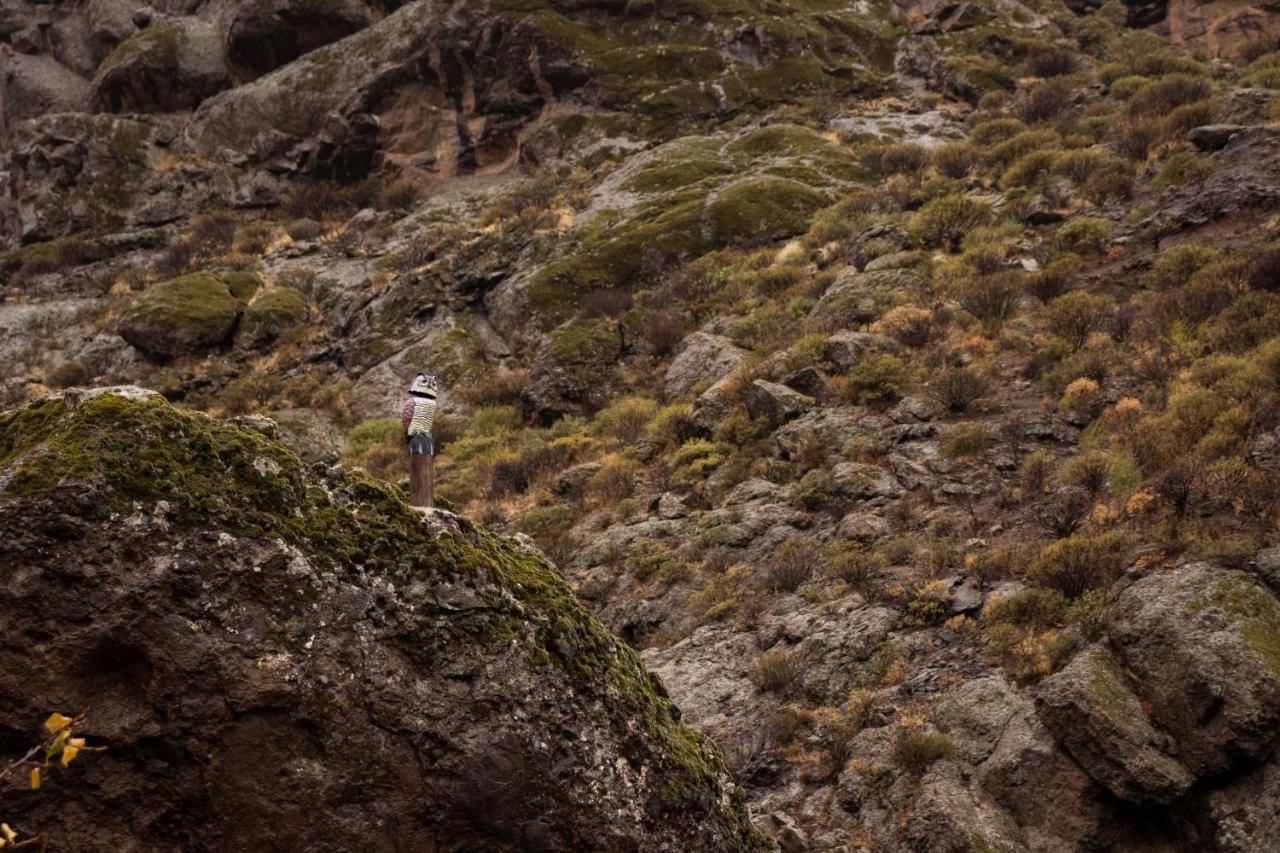 La Vuelta Del Amo Villa Las Palmas de Gran Canaria Exteriör bild