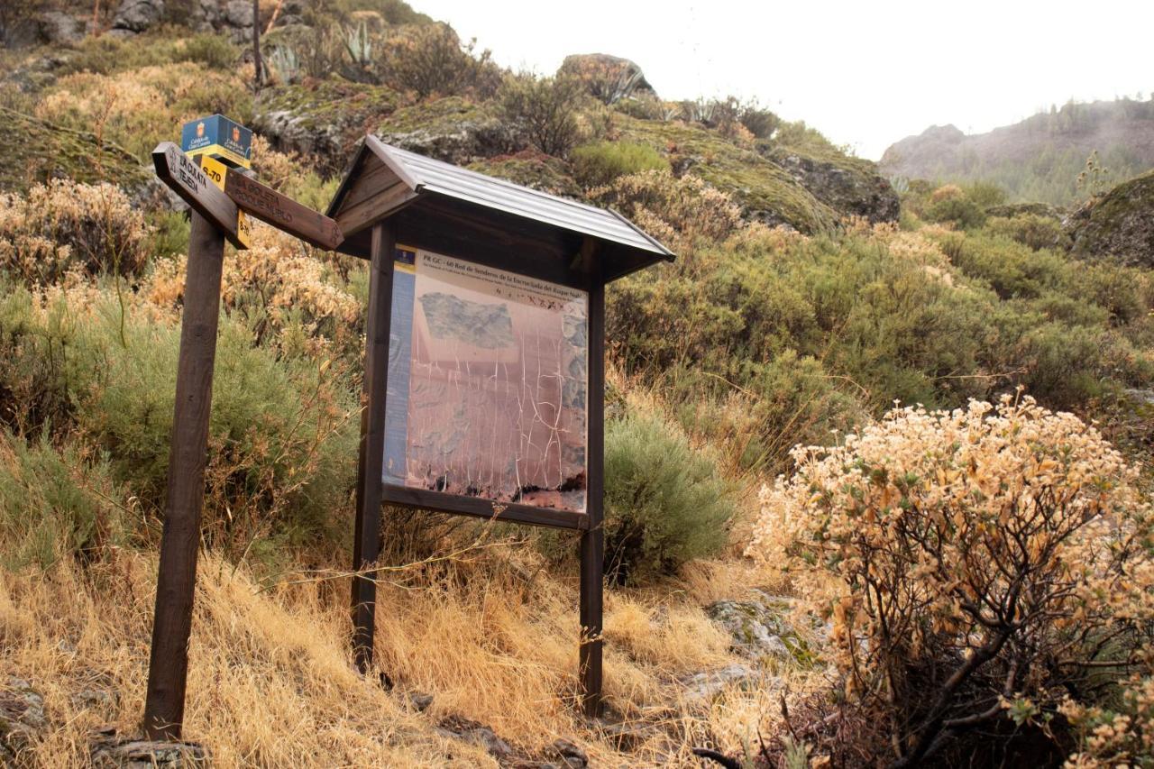 La Vuelta Del Amo Villa Las Palmas de Gran Canaria Exteriör bild